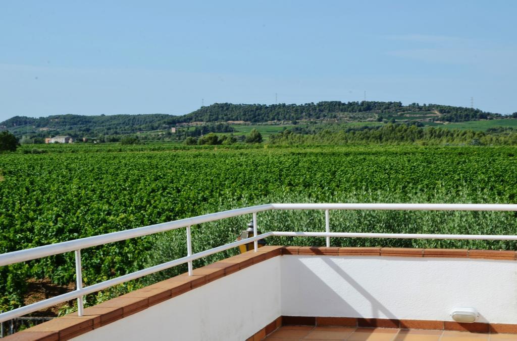Villa Casa Fontanals Pla del Penedès Exterior foto